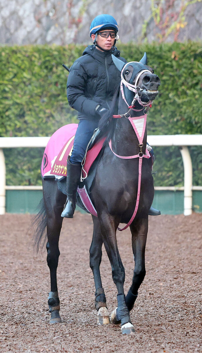 【阪神ＪＦ】強運の抽選突破で参戦の素質馬が２番人気　デットーリ騎手が騎乗の米国馬は４番人気　前日オッズ