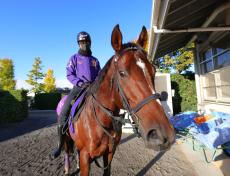 ドウデュースが有馬記念へ坂路で５５秒６の初時計　武豊騎手は１１日の追い切り騎乗　友道調教師「本当に順調」