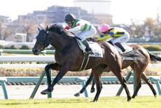 【中山５Ｒ・２歳新馬】単勝１・９倍の断然人気バースライトが競り合いから抜け出しＶ　浜中俊騎手「余力がありました」