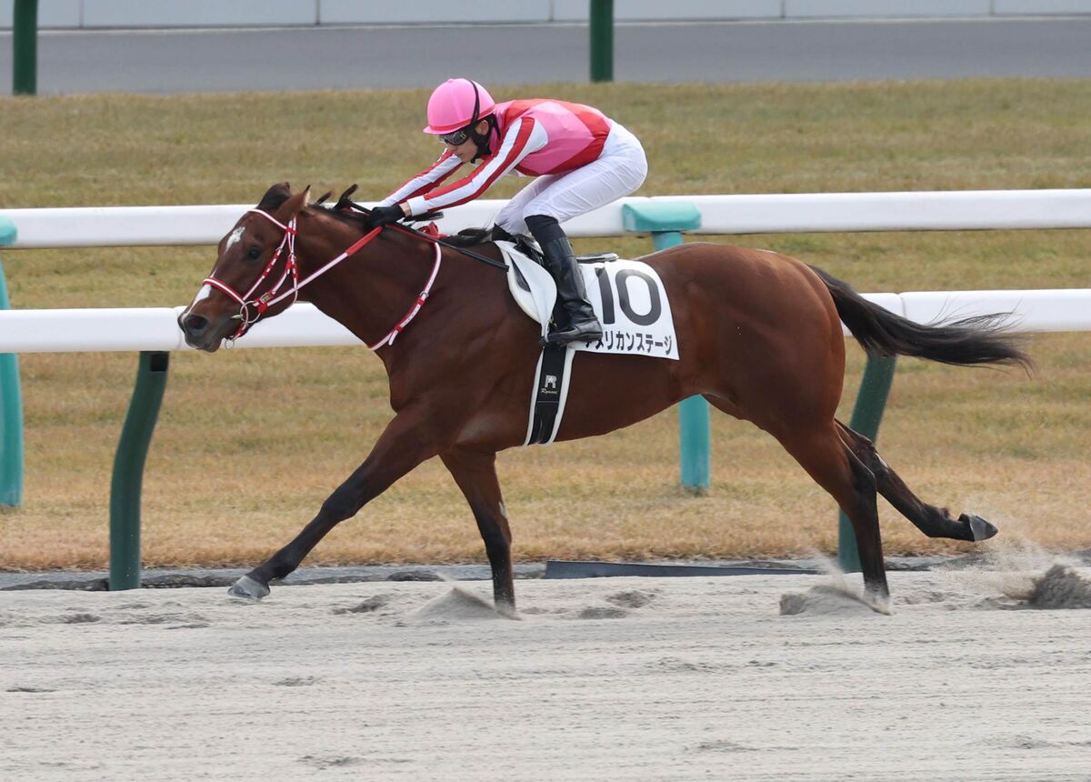 【京都６Ｒ・２歳１勝クラス】アメリカンステージがスピードで圧倒　坂井瑠星騎手「この路線のスペシャリストになれる」