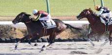 【中山７Ｒ・２歳１勝クラス】ジャナドリアが無傷２連勝　横山武史騎手「能力だけで勝ってくれました」