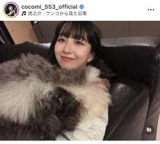 Ｃｏｃｏｍｉ、愛犬とのゆるいプライベートショットに癒される