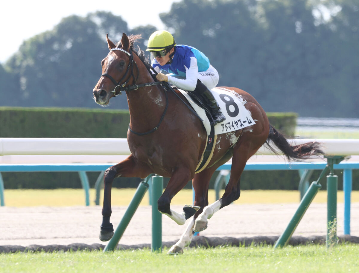 【朝日杯ＦＳ・山下の特注馬】前走の勝ち方が良かったアドマイヤズームが一角崩し　１勝馬でも侮れない