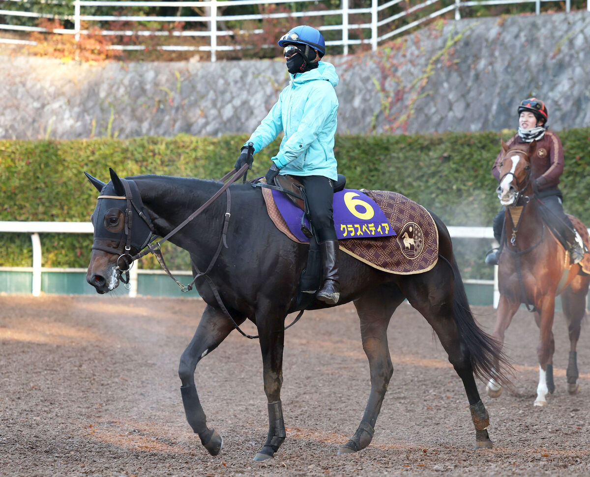 【朝日杯ＦＳ】“０勝馬”クラスペディアが史上初のＧ１制覇に挑む　河嶋調教師「ちゃんとクリアしてこれている」