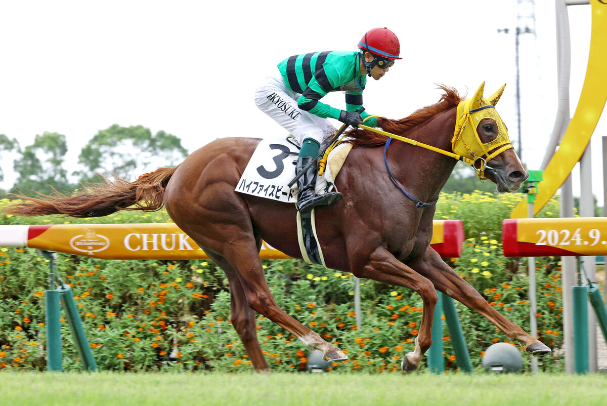 【スポーツ報知杯中京２歳Ｓ】良馬場ならハイファイスピードが怖い　陣営「良馬場と中京コースで見直したい」