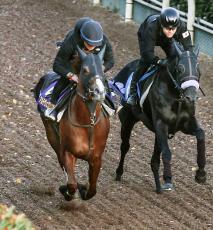 【朝日杯ＦＳ】アルテヴェローチェがＧ１仕様の勝負仕上げ　武豊はグランプリへ勝って弾みつける