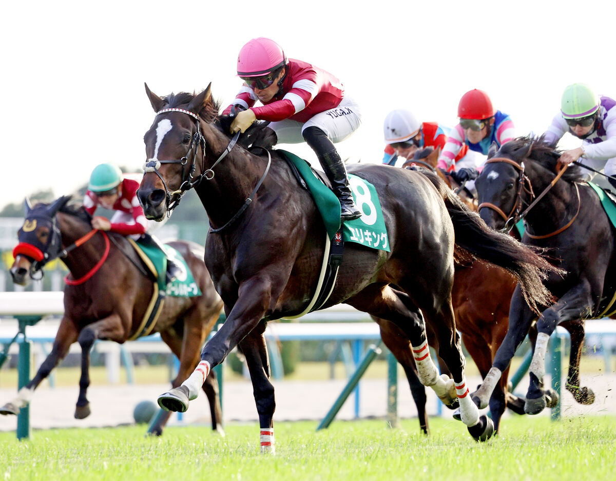 デビュー３連勝中のエリキングが骨折　３か月以上の休養を要する見込み