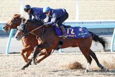 【有馬記念】ローシャムパークを初コンタクトのマーカンド騎手が絶賛「ストライドが大きくていい馬」