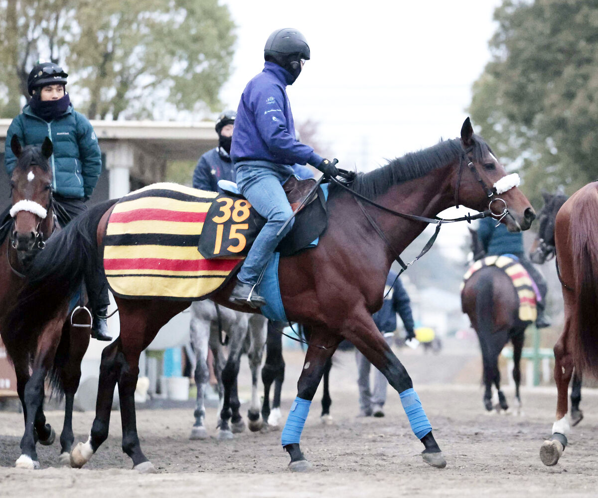 【ＰＯＧ】１０、１１月で新馬４勝の国枝栄厩舎　今週デビュー予定は「水準以上だと思う」レイデアンジェロ