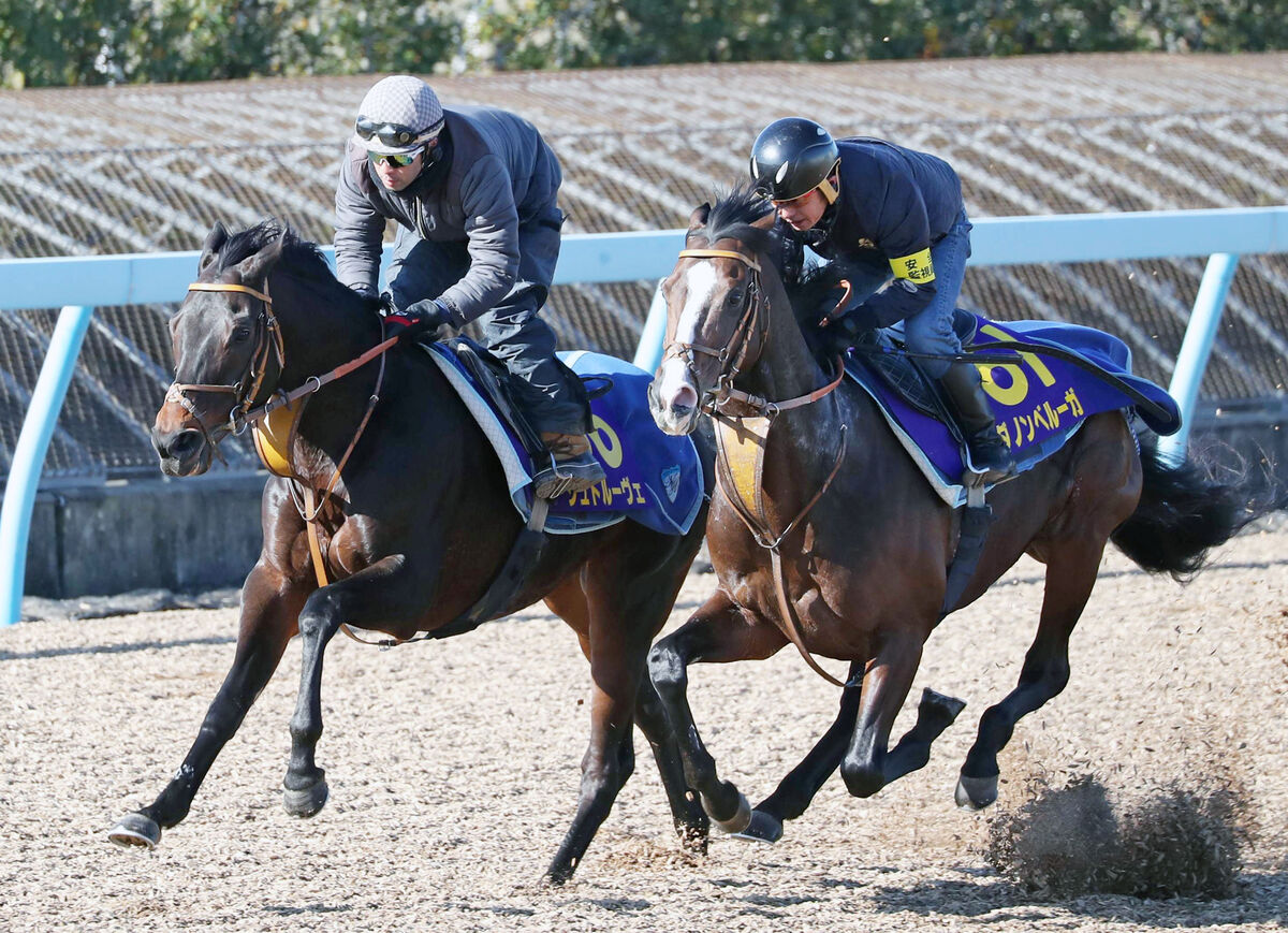 【有馬記念】シュトルーヴェは休み明けを叩いて上昇　堀調教師「手応えが良くて、離せば一段階ギアが上がる感じ」