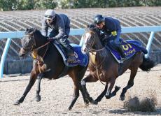 【有馬記念】シュトルーヴェは休み明けを叩いて上昇　堀宣行調教師「手応えが良くて、離せば一段階ギアが上がる感じ」