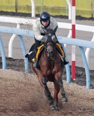 【ターコイズＳ】実績上位の３歳牝馬ミアネーロは４枠７番　連勝を狙うアルジーヌは３枠６番　枠順確定