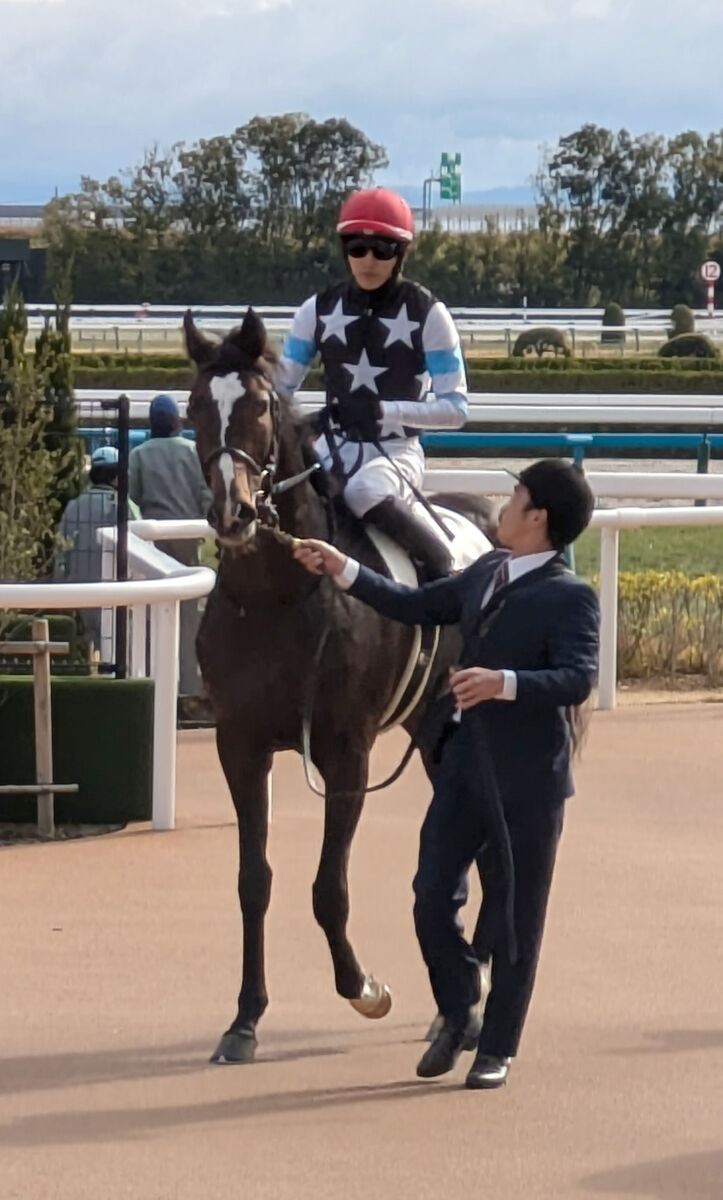 【京都５Ｒ・２歳新馬】良血馬メディテラニアンがＶ発進　坂井瑠星騎手「自信を持って臨んだレース」