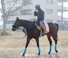 土曜中山競馬場の注目激走馬…中山１１Ｒターコイズステークス・Ｇ３