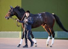 【ターコイズＳ】昇級戦＆重賞初挑戦のビヨンドザヴァレー２着　菱田裕二騎手「理想通りの競馬」