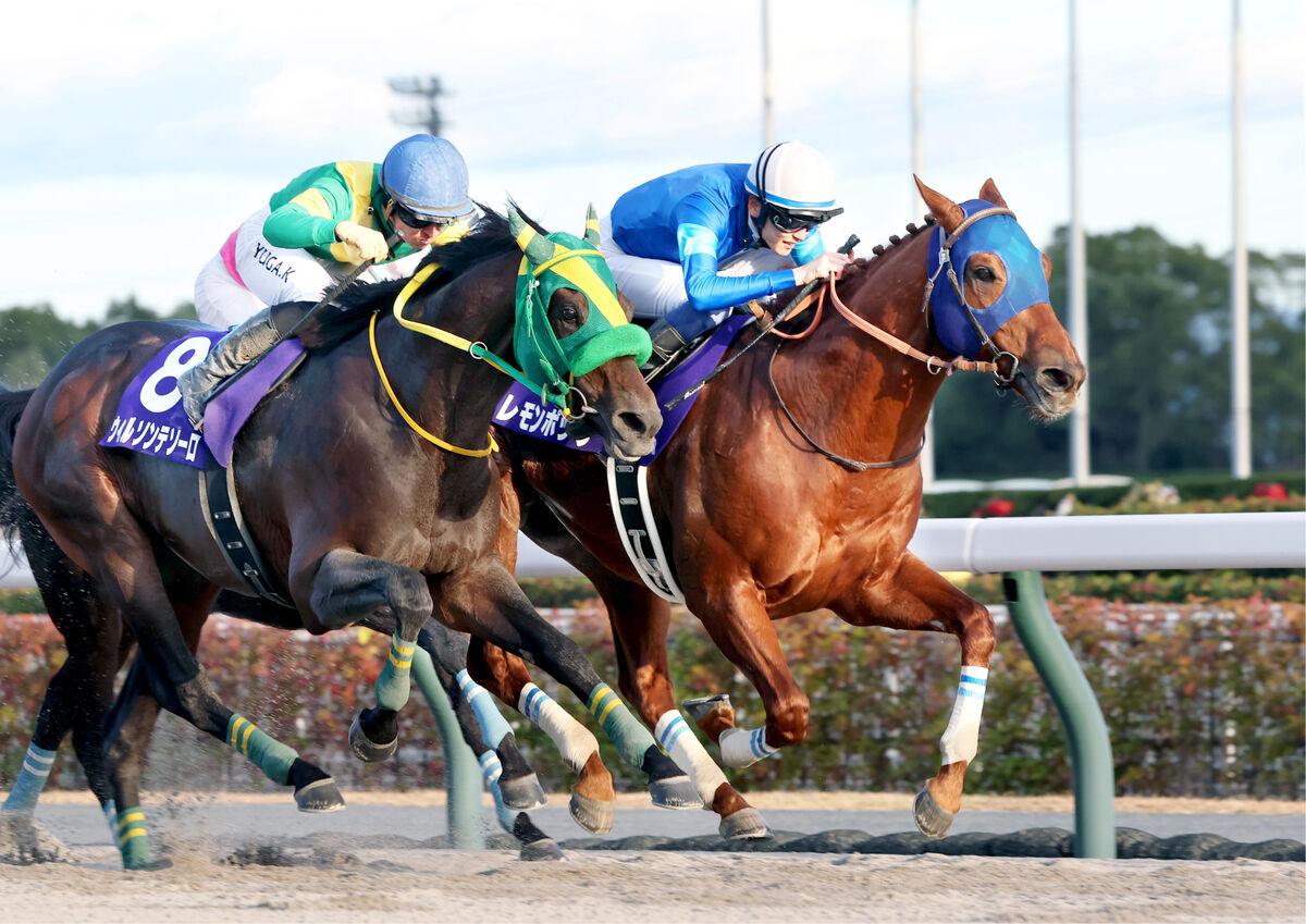 種牡馬レモンドロップキッドが２８歳で死ぬ　日本での代表産駒レモンポップはＧ１級を６勝