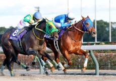 種牡馬レモンドロップキッドが２８歳で死ぬ　日本での代表産駒レモンポップはＧ１級を６勝