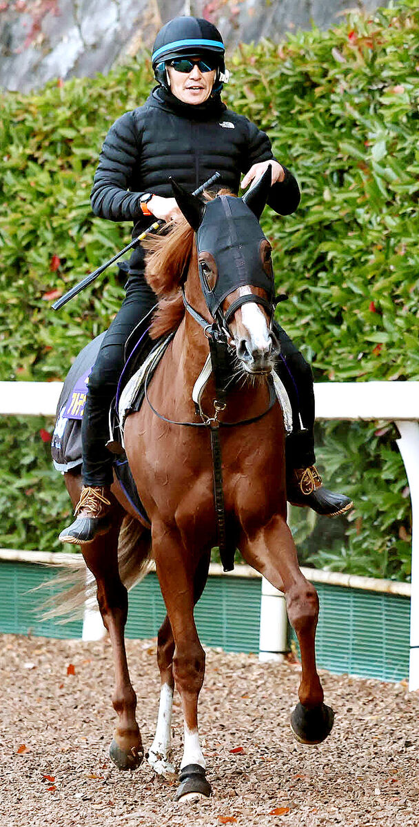 【朝日杯ＦＳ】前日最終オッズは武豊騎手のアルテヴェローチェが１番人気　１０倍切る６頭中４頭が２戦無敗馬