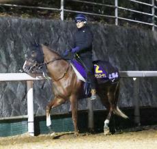 馬トク外厩情報からの推奨馬…朝日杯フューチュリティステークス・Ｇ１