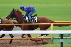 日曜中京競馬場の注目激走馬…中京１１Ｒコールドムーンステークス