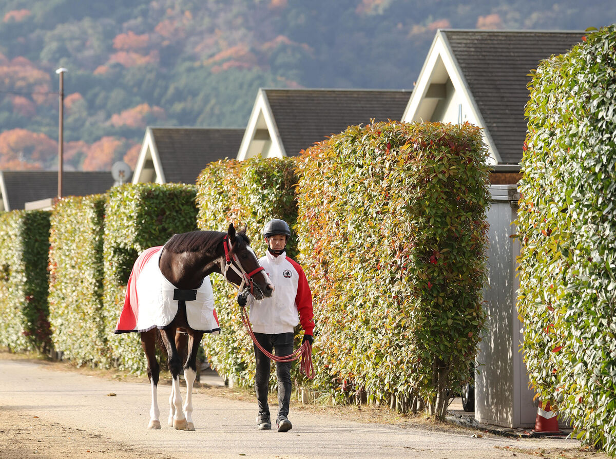 日曜京都競馬場の注目激走馬…京都１１Ｒ朝日杯フューチュリティステークス・Ｇ１