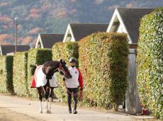 日曜京都競馬場の注目激走馬…京都１１Ｒ朝日杯フューチュリティステークス・Ｇ１