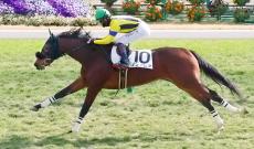 【京都５Ｒ・２歳新馬】９番人気のノクナレアが２馬身差の完勝　松山弘平騎手「強い競馬。実戦でいい」