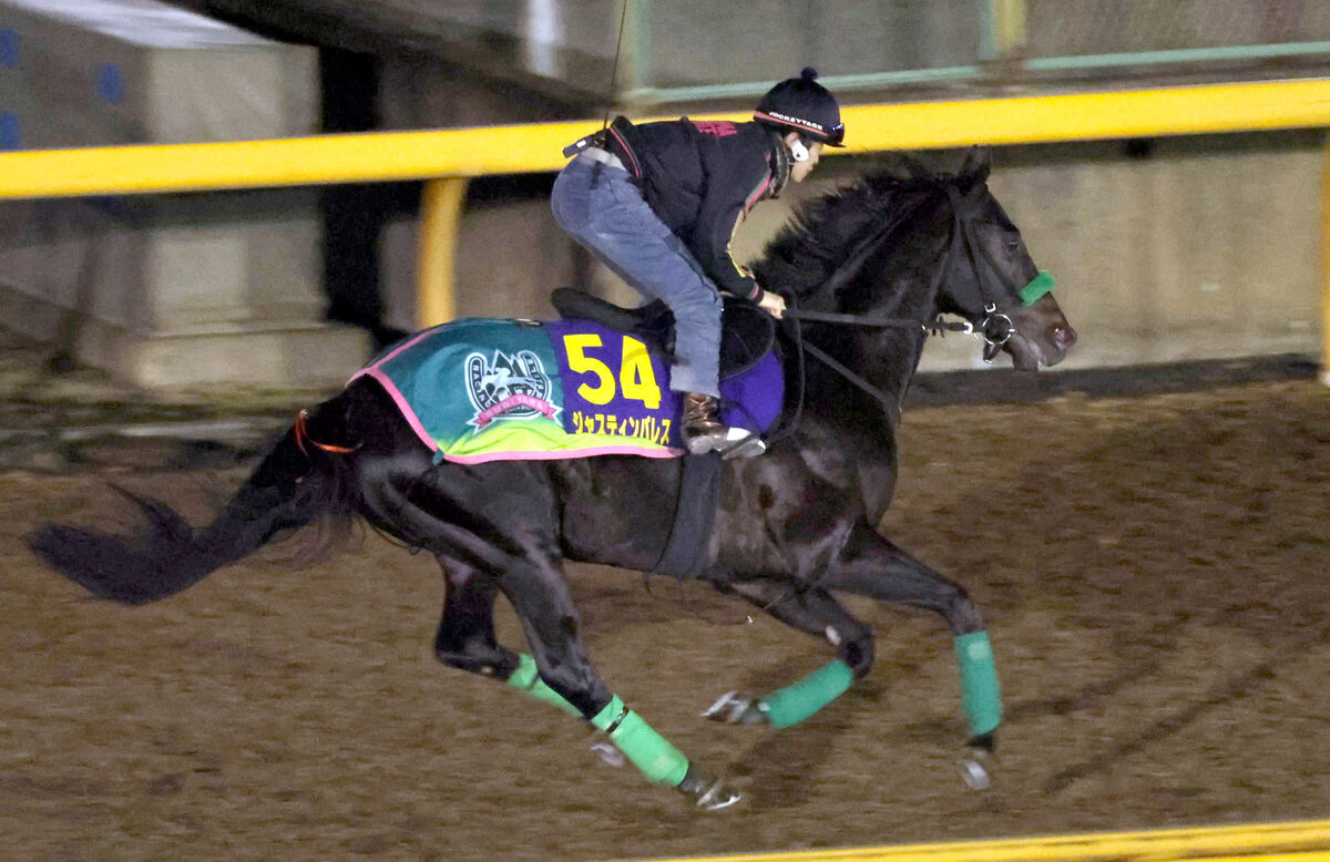 【有馬記念】ジャスティンパレス日曜追いで動きハツラツ　杉山晴調教師「馬体の張りは今が一番いい」