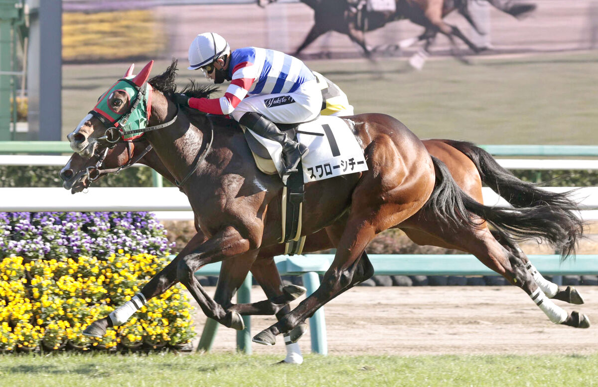 【中山７Ｒ・２歳未勝利】スワローシチーが７戦目で勝ち上がり　ミッキースワロー産駒ＪＲＡ初勝利