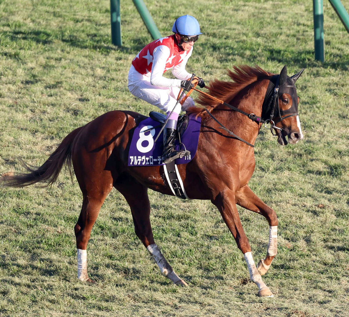 【朝日杯ＦＳ】１番人気アルテヴェローチェ伸び切れず５着　武豊騎手「もっと走る馬なんだけど…」