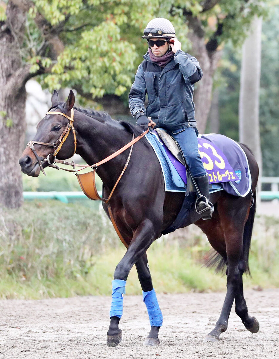 【有馬記念・浅子の特注馬】美浦からの波乱候補はシュトルーヴェ　前２走だけで判断するのはまだ早い