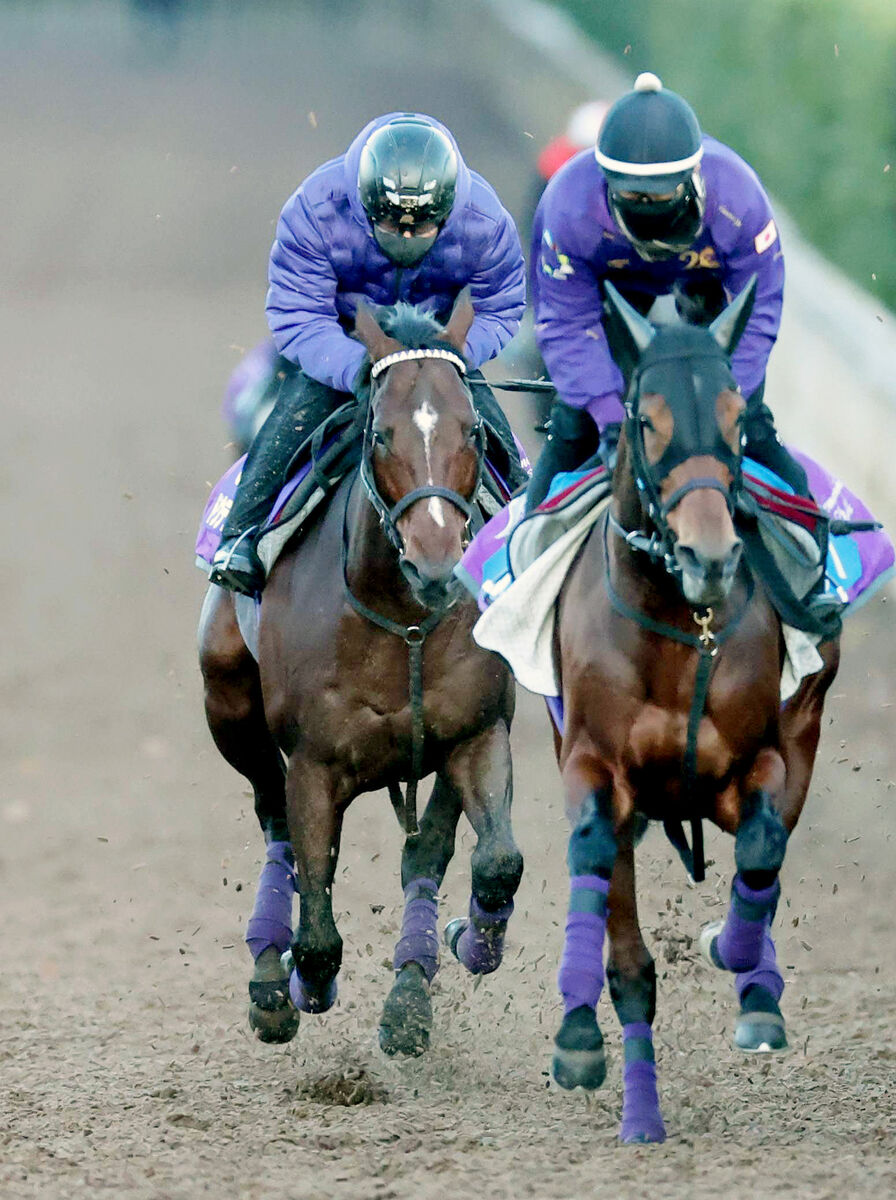 【有馬記念】ドウデュース単勝１倍台濃厚も０１年以降７頭中勝ったのは３頭だけ…思い出す１９年のアーモンドアイ９着