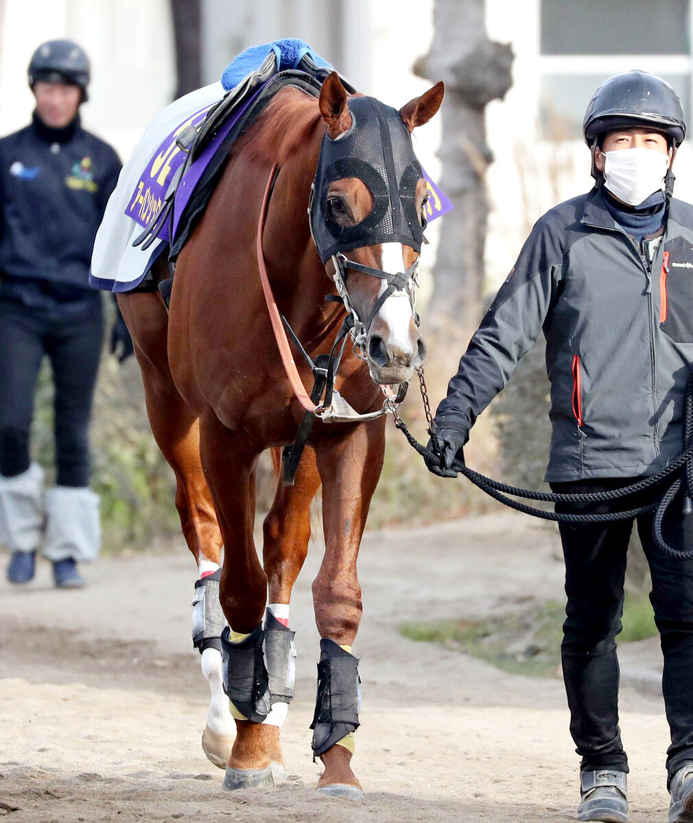 【有馬記念・玉木の特注馬】ルメール騎手が選択したアーバンシック　「有馬記念を勝つのにいい素材」