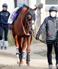 【有馬記念・玉木の特注馬】ルメール騎手が選択したアーバンシック　「有馬記念を勝つのにいい素材」