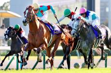 【有馬記念】注目は激流だった菊花賞は参考外のダービー馬＆ジャパンＣより条件好転する２３年天皇賞・春Ｖ馬