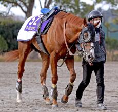 【有馬記念】過去３勝ルメール騎手擁する菊花賞馬が怖い　ドウデュースを「負かすのは難しい」も「チャンスはあります」