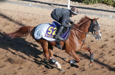 【有馬記念】アーバンシックは全休日明け坂路２本　陣営もうなる“強心臓”ぶり　気になる折り合いは