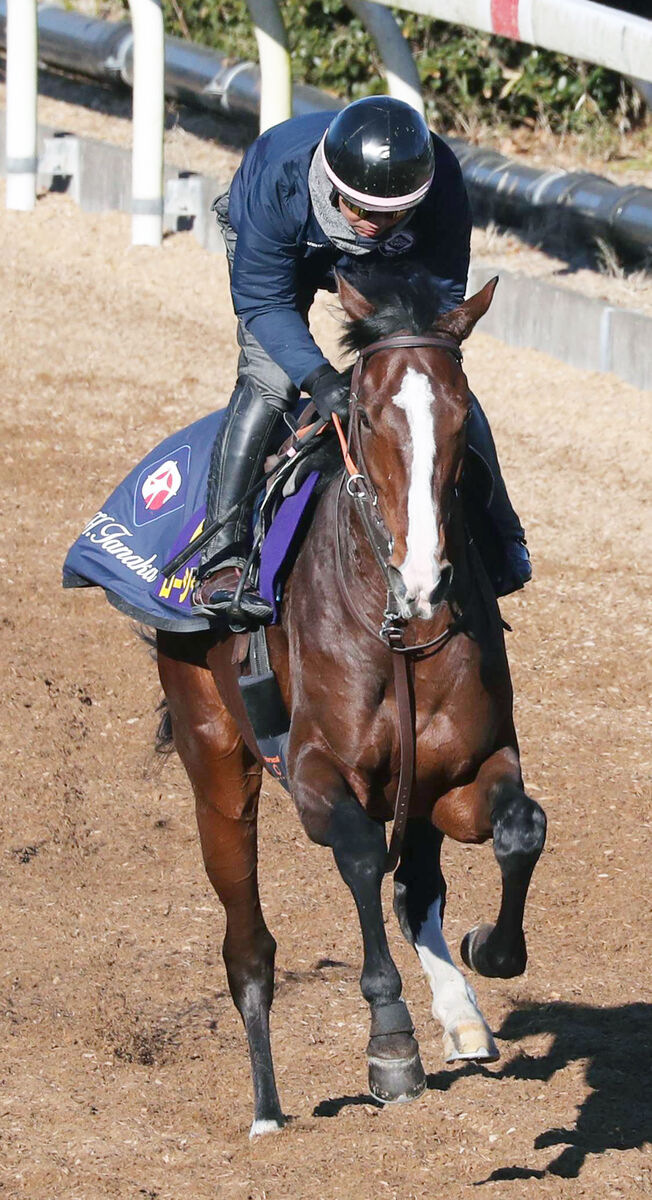 【有馬記念】坂路で調整のローシャムパークには課題と手応え　田中博調教師「体の左右差が…」