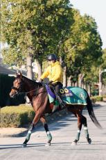 【有馬記念】気温が下がって上昇の４歳馬　陣営「前走は夏バテを引きずっていて、明らかに良くなかった」