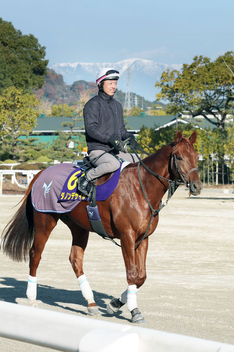 【有馬記念】ダノンデサイルは坂路で入念　安田調教師「明日の追い切りに向けた準備をしました」