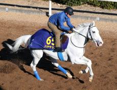 【有馬記念】ハヤヤッコが白毛馬として史上初参戦　指揮官は９番人気マツリダゴッホで勝利した０７年再現狙う