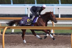 【有馬記念】ダービー馬ダノンデサイルが復権へ　安田調教師「タフなレースに対応できるよう準備はしている」