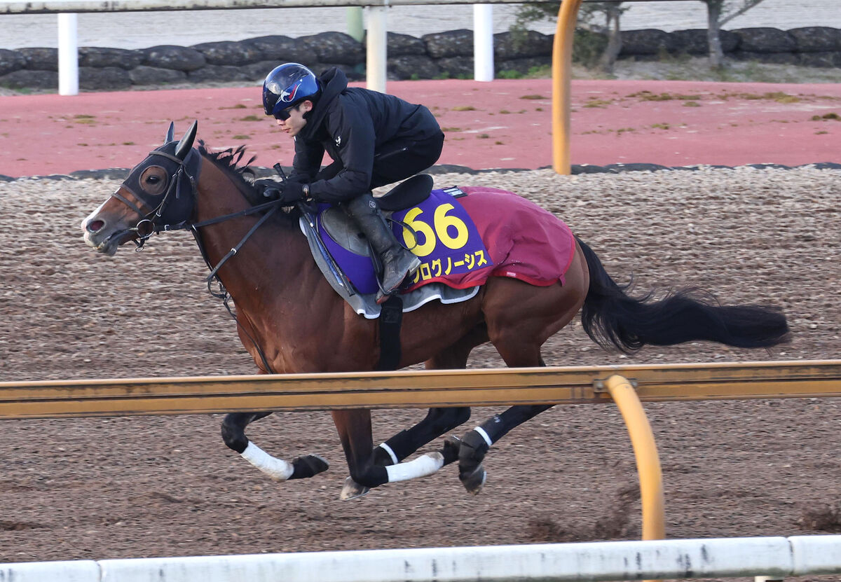 【有馬記念】プログノーシスがＧ１奪取に向けて絶好の動きを披露　三浦皇成騎手「とにかく一番いい走りを」