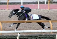 【有馬記念】人気者のディープボンドが元気ハツラツで「すごくいい状態」　最後までスピード落ちず