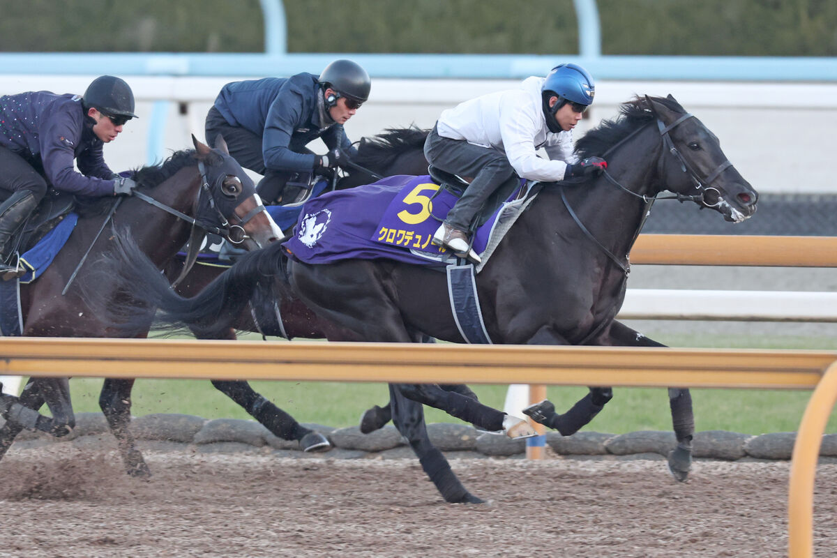 【ホープフルＳ】無傷３連勝狙うクロワデュノールは３頭併せで最先着　北村友一騎手「動きに余裕があった」