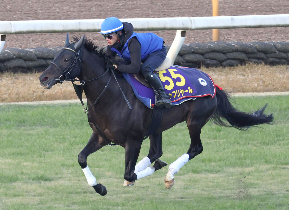 【有馬記念】シャフリヤールは昨年より数段上の調子　藤原調教師「今年は有馬を予定していたから」