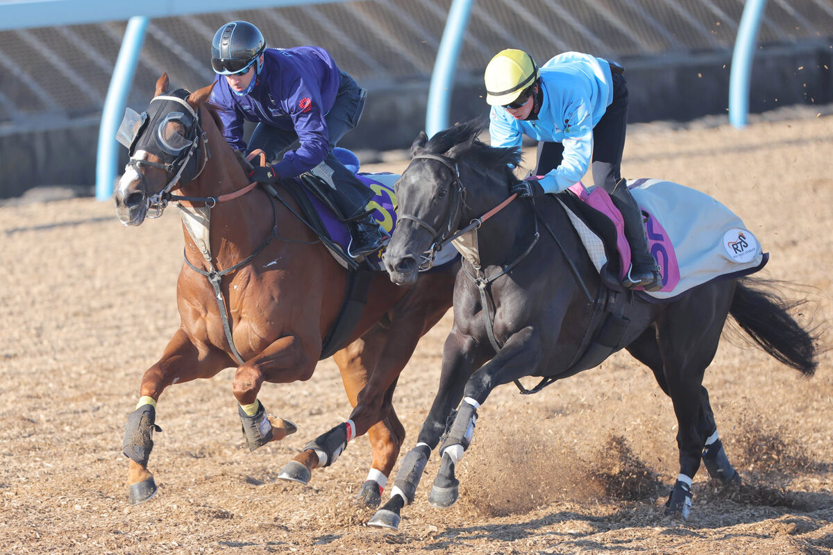 【有馬記念】アーバンシックのルメール騎手は最大のライバル意識「ドウデュースの前にいた方がいい」