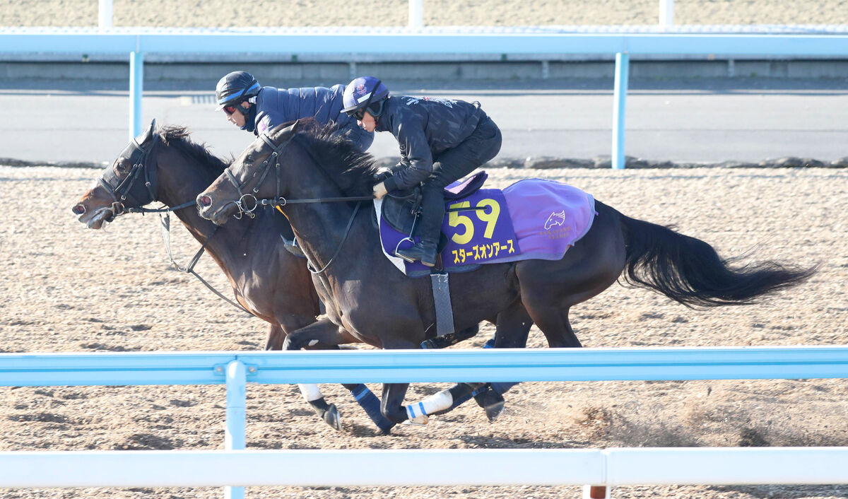 【有馬記念】昨年２着馬スターズオンアースは川田将雅騎手を背に先着　週末も時計を出した陣営のジャッジは