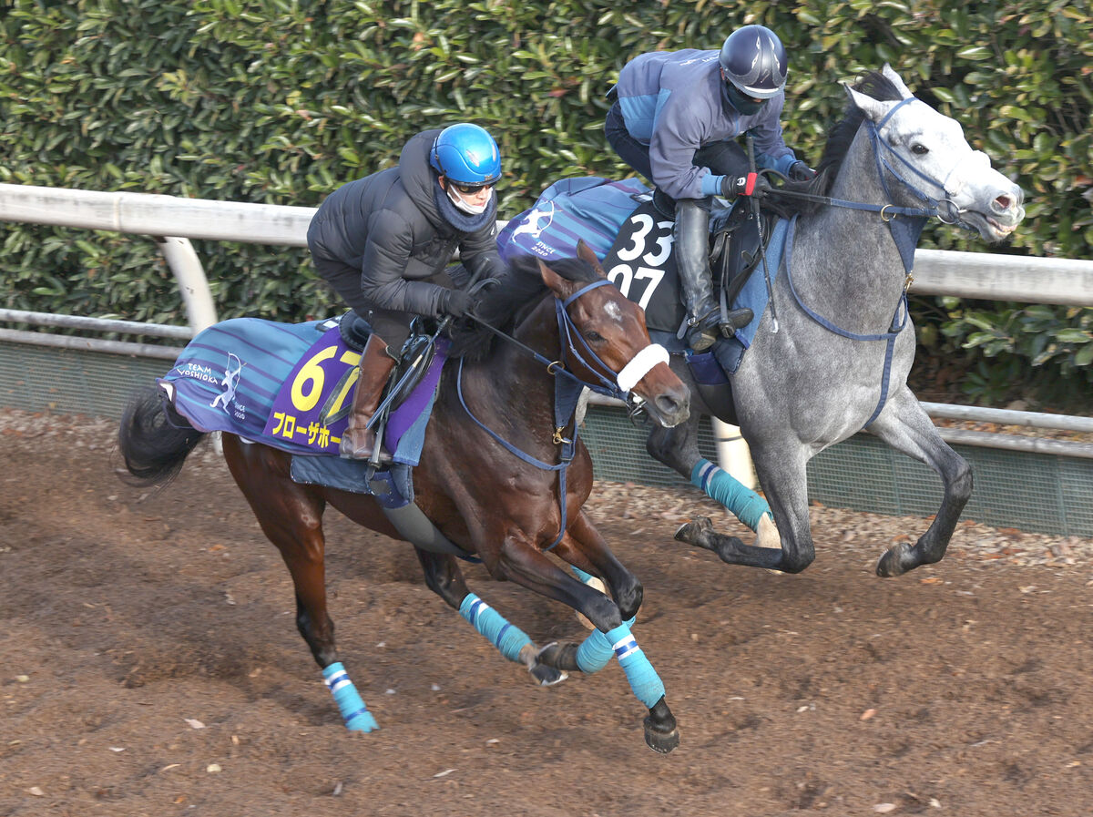 【有馬記念】ブローザホーンの状態「ピークに近い」と吉岡調教師　春秋ＧＰ連覇へジョッキーも好感触