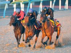 【有馬記念】レガレイラは３頭併せ　初コンタクトの戸崎圭太騎手は「体調、折り合い、操縦性」に声弾ませる